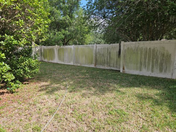 Green screened-in patio/courtyard beside a hedge and wet lawn, with potted plants and a stone path.