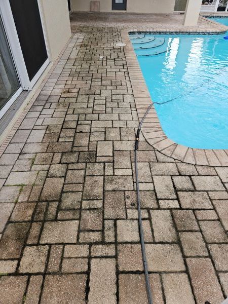 Green screened-in patio/courtyard beside a hedge and wet lawn, with potted plants and a stone path.