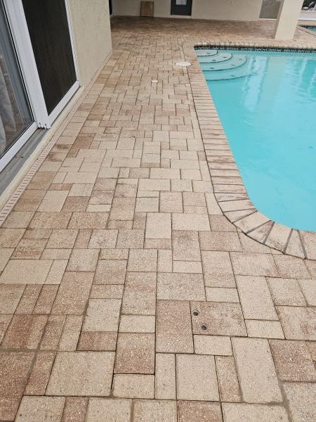 Green screened-in patio/courtyard beside a hedge and wet lawn, with potted plants and a stone path.