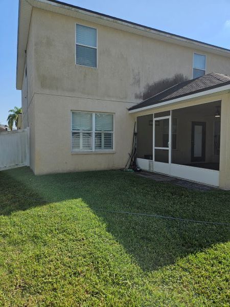 Green screened-in patio/courtyard beside a hedge and wet lawn, with potted plants and a stone path.