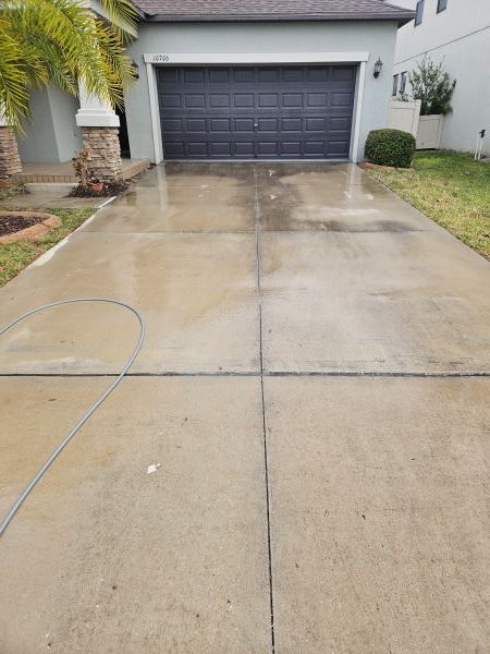 A grey, rectangular concrete driveway leading to a dark garage door, flanked by a palm tree, landscaping, and a house.