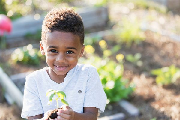 a young boy is holding a small plant in his hands in a garden .