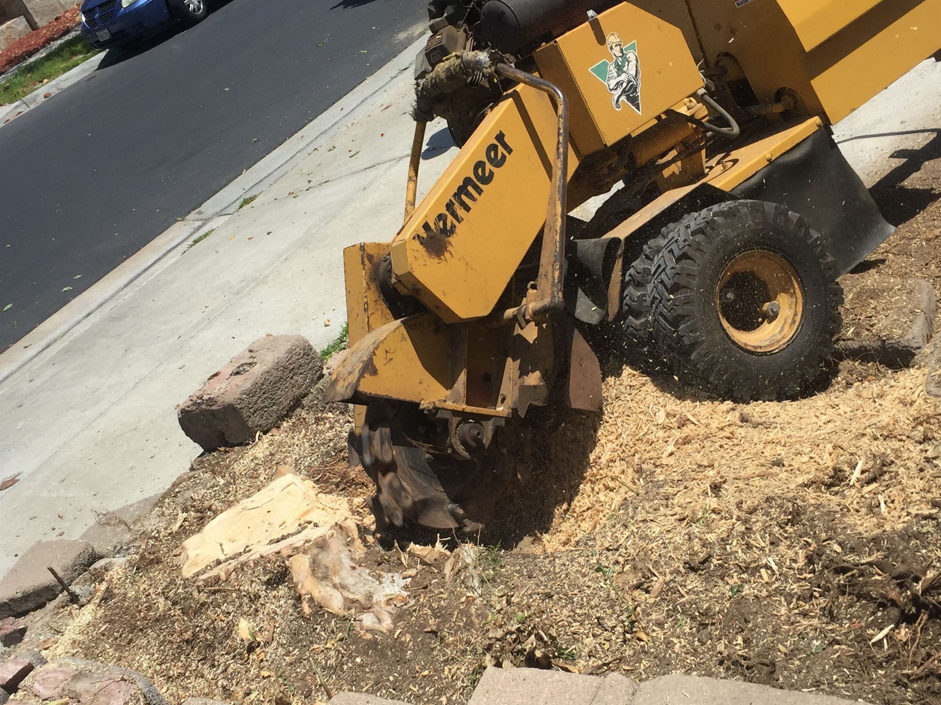 A yellow vermeer stump grinder is cutting a tree stump.