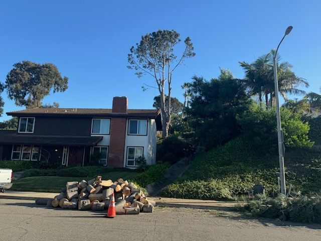 A pile of logs is on the side of the road in front of a house