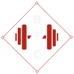 bic logo