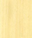 A close up of a piece of yellow wood on a white background.