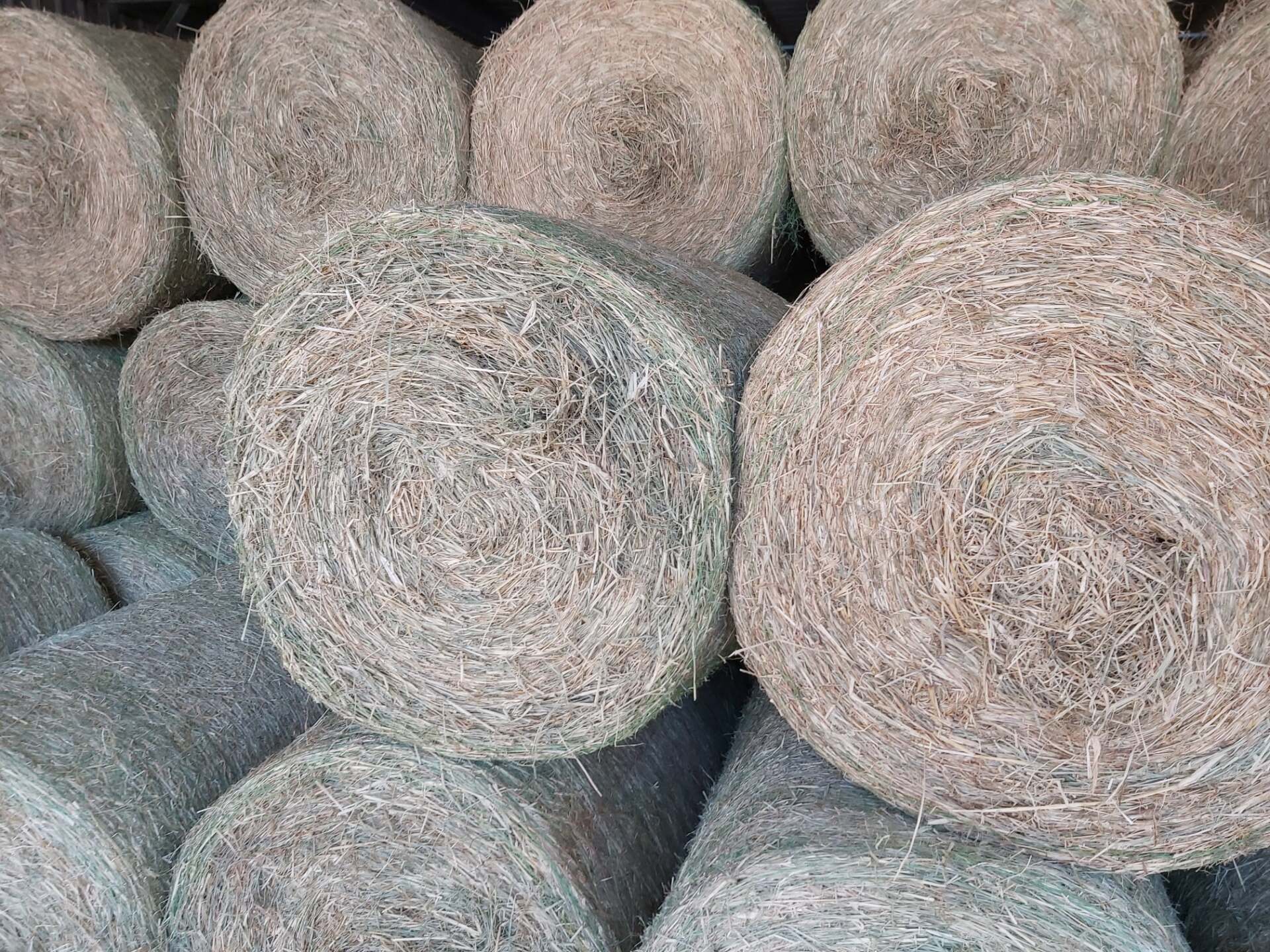 A pile of hay bales stacked on top of each other.