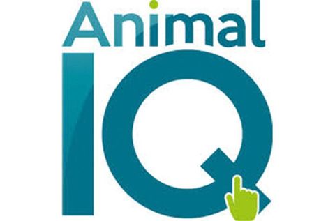 Animal IQ
