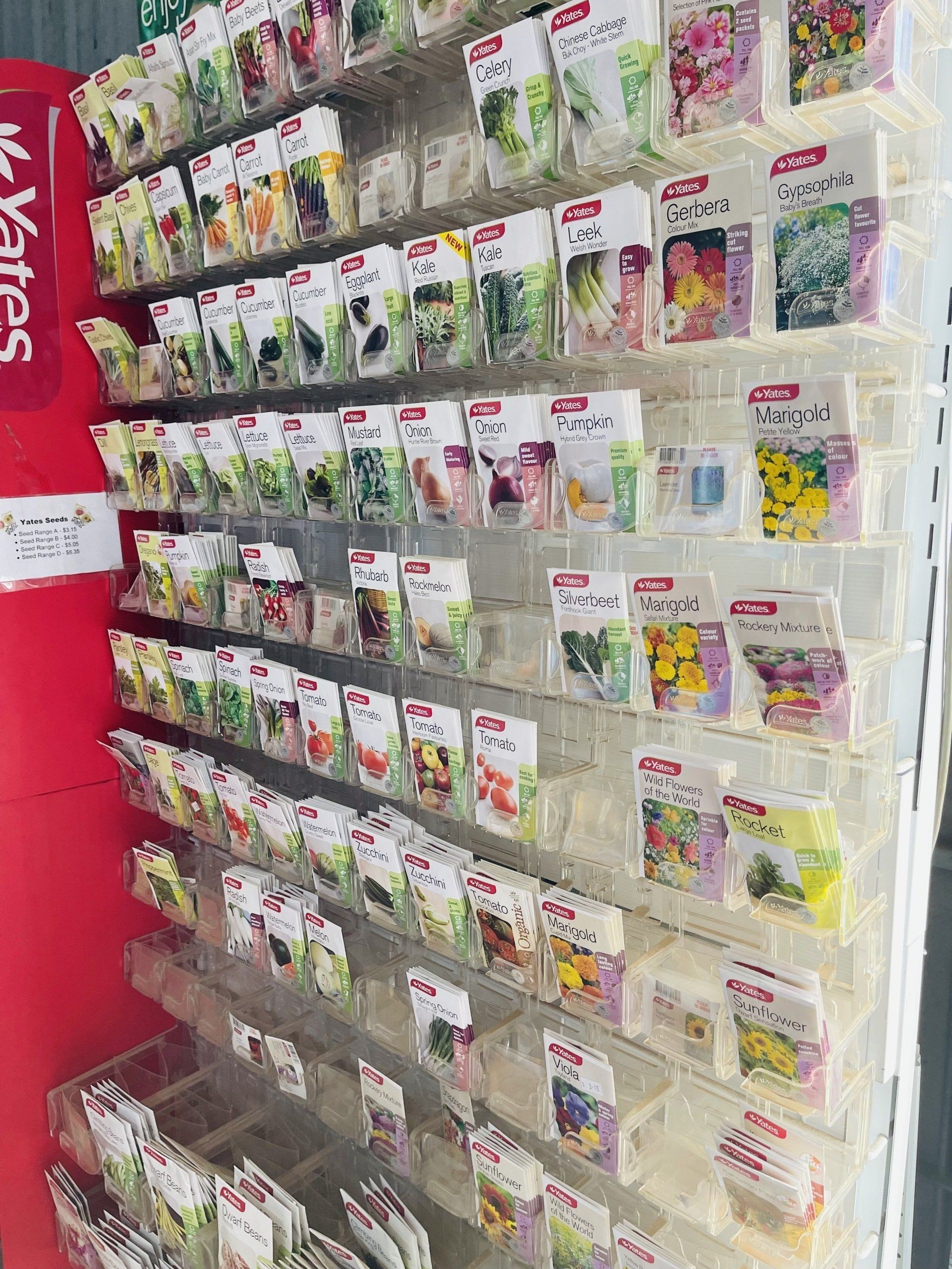 A wall filled with lots of different types of seeds.