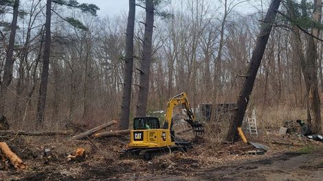 Forestry Mulching and Land Clearing in Albany, NY, Massachusetts, and Vermont