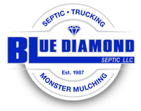 Blue Diamond Septic Logo