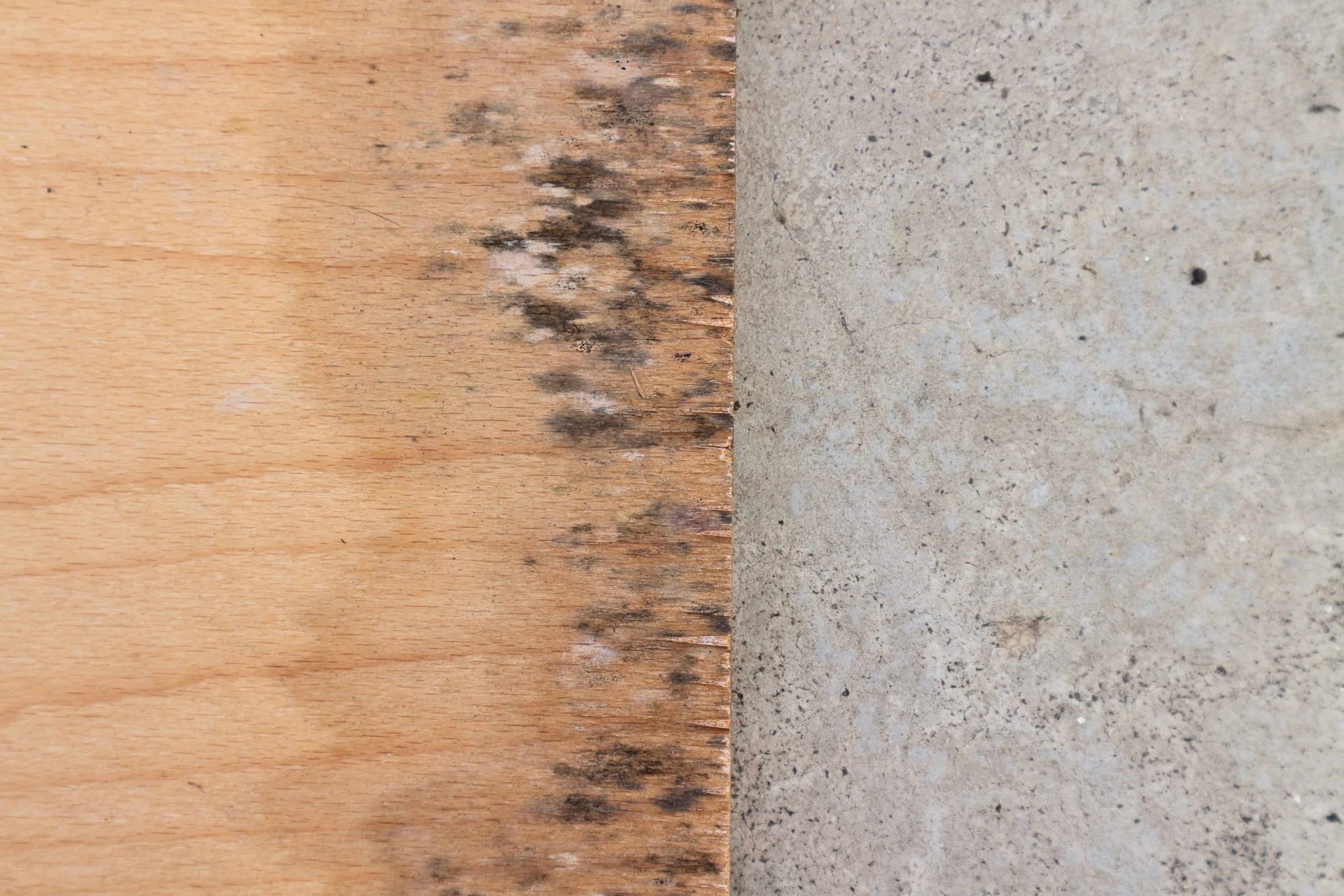A close up of a piece of wood next to a concrete wall.