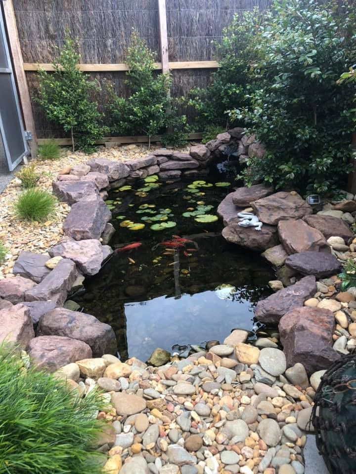 Pond with large rocks, water lilies, and koi fish, surrounded by small rocks, greenery, and trees — MGP Landscaping in Geelong, VIC