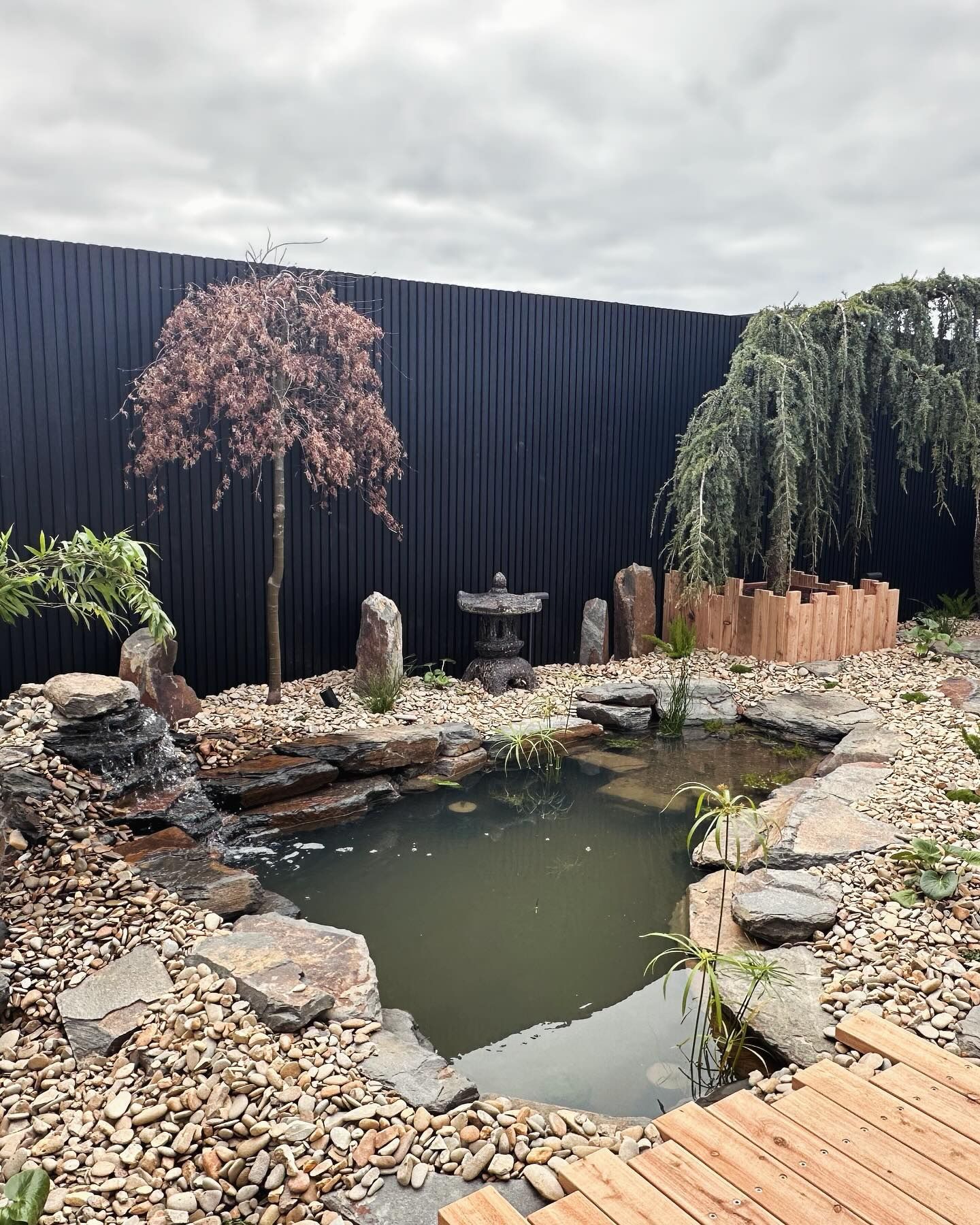 Japanese garden with pond, rocks, waterfall, pagoda, and weeping tree against black fence — MGP Landscaping in Geelong, VIC