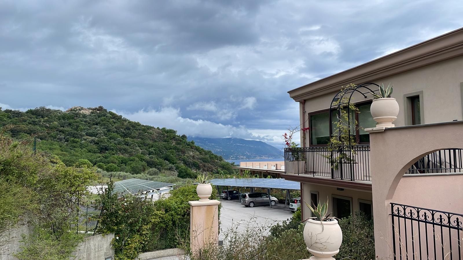 studio di consulenza spanò