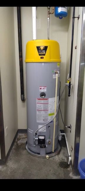 plumbing inspection trenton fl