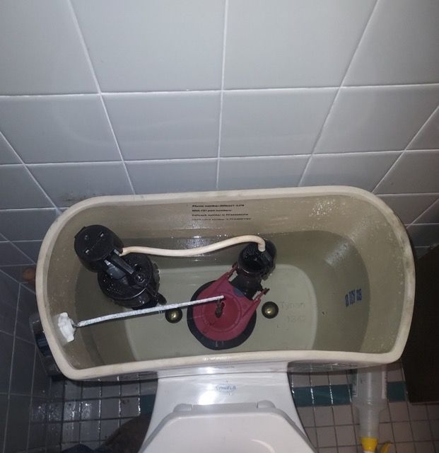 trenton fl drain cleaning company