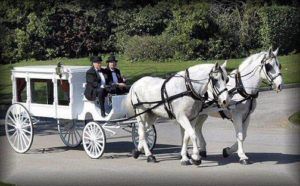 Carriage with horses at Torres Cremation and Burial Services CA