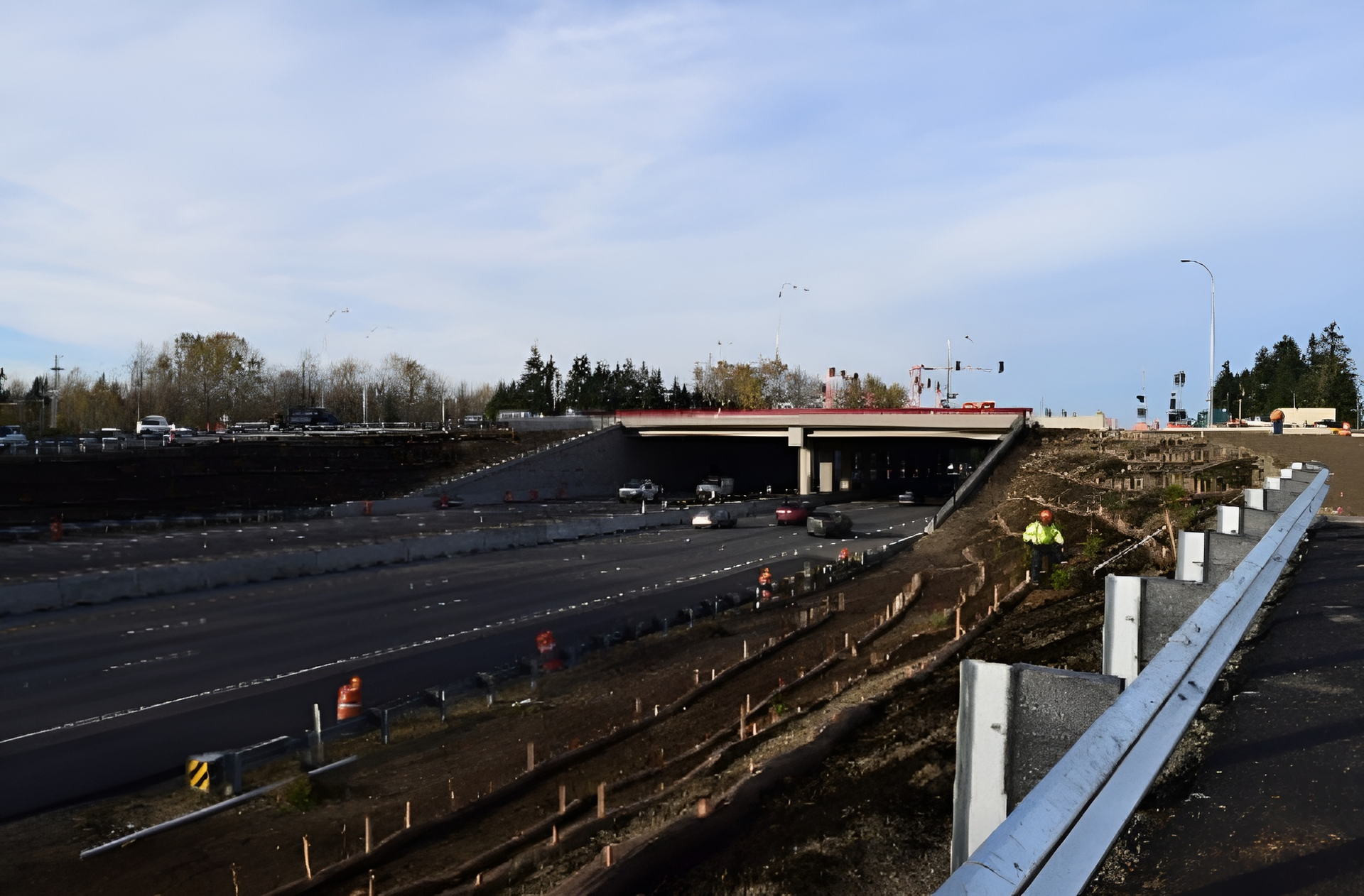 A group of men are working in a field and one is using a tripod to take a picture