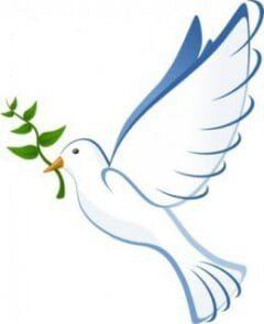White dove carrying an olive branch, flying upward with blue-tinted wings White dove carrying an olive branch, flying upward with blue-tinted wings