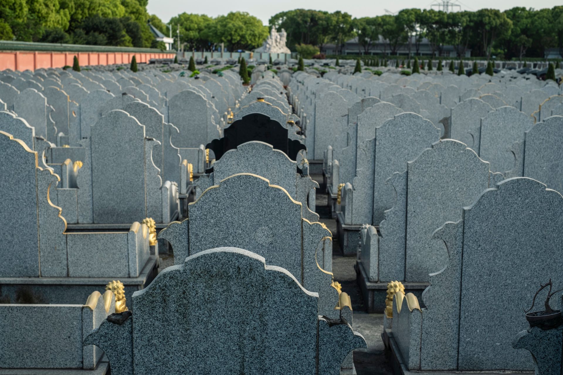 Rows of gray headstones in a cemetery, with a few adorned with gold, under a sky with trees.