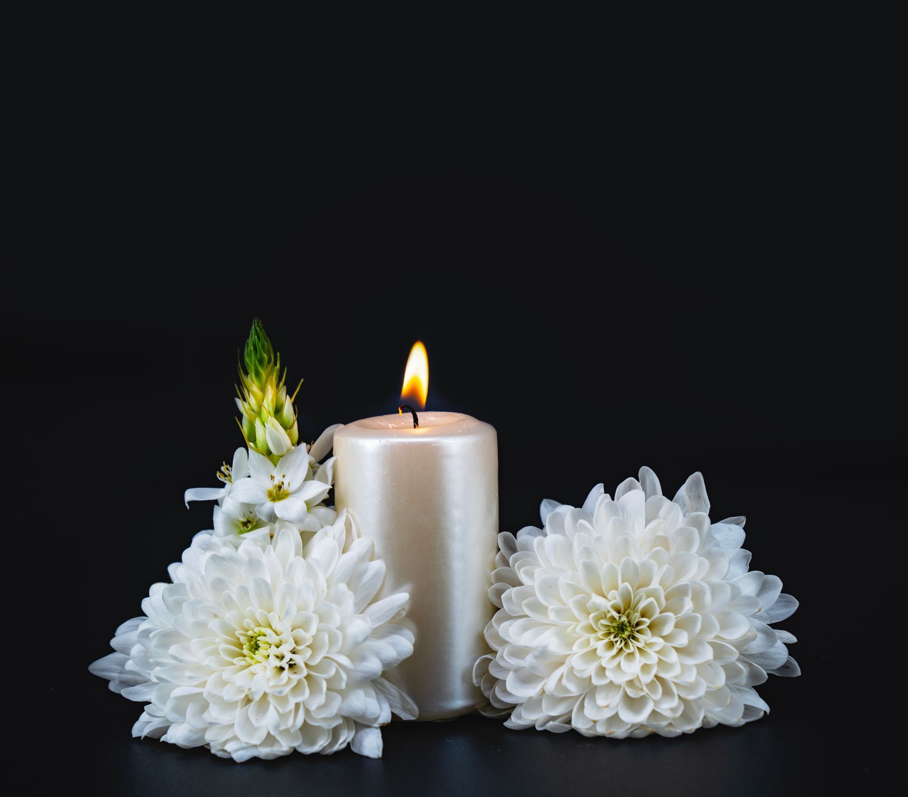 Lit candle with white flowers on black background.
