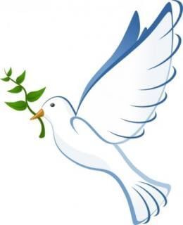 White dove carrying an olive branch, with blue accents on its wings and tail