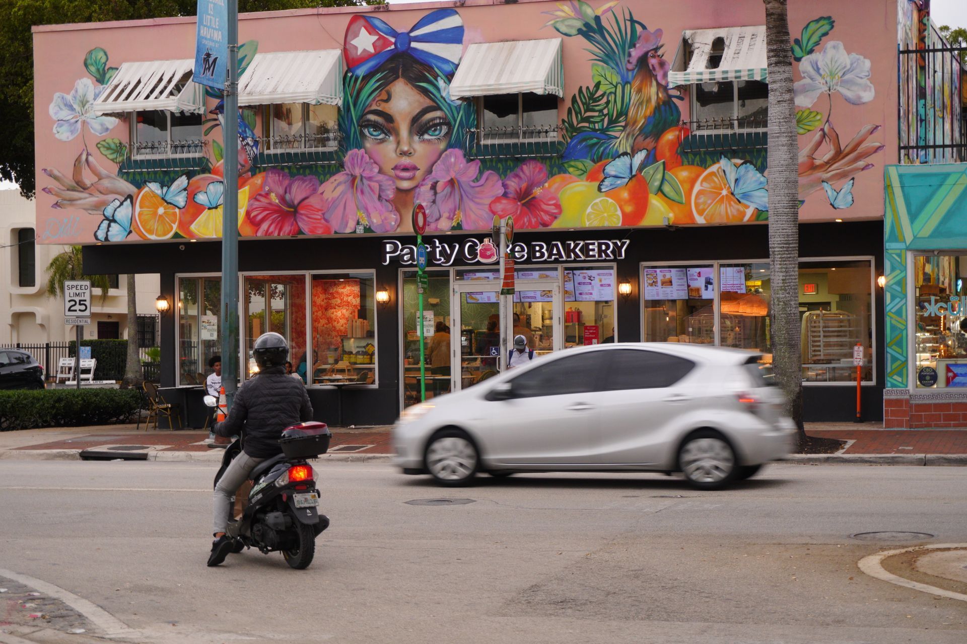 City Half Day Tour of Miami by Bus with Sightseeing Cruise