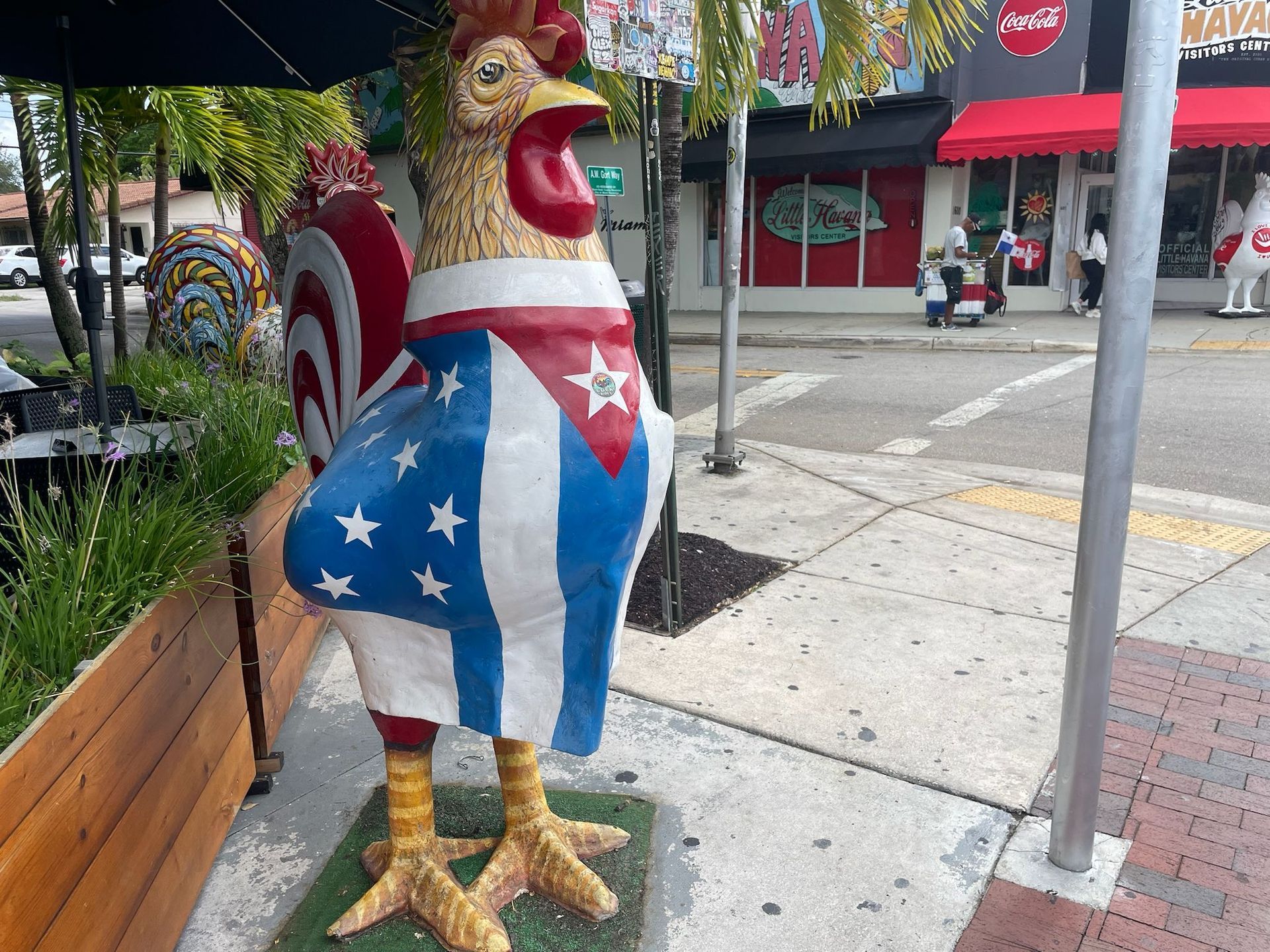 Rooster statue in little Havana part of the Cuban Culture, the walking tour with the Hop on hop off Promo Code