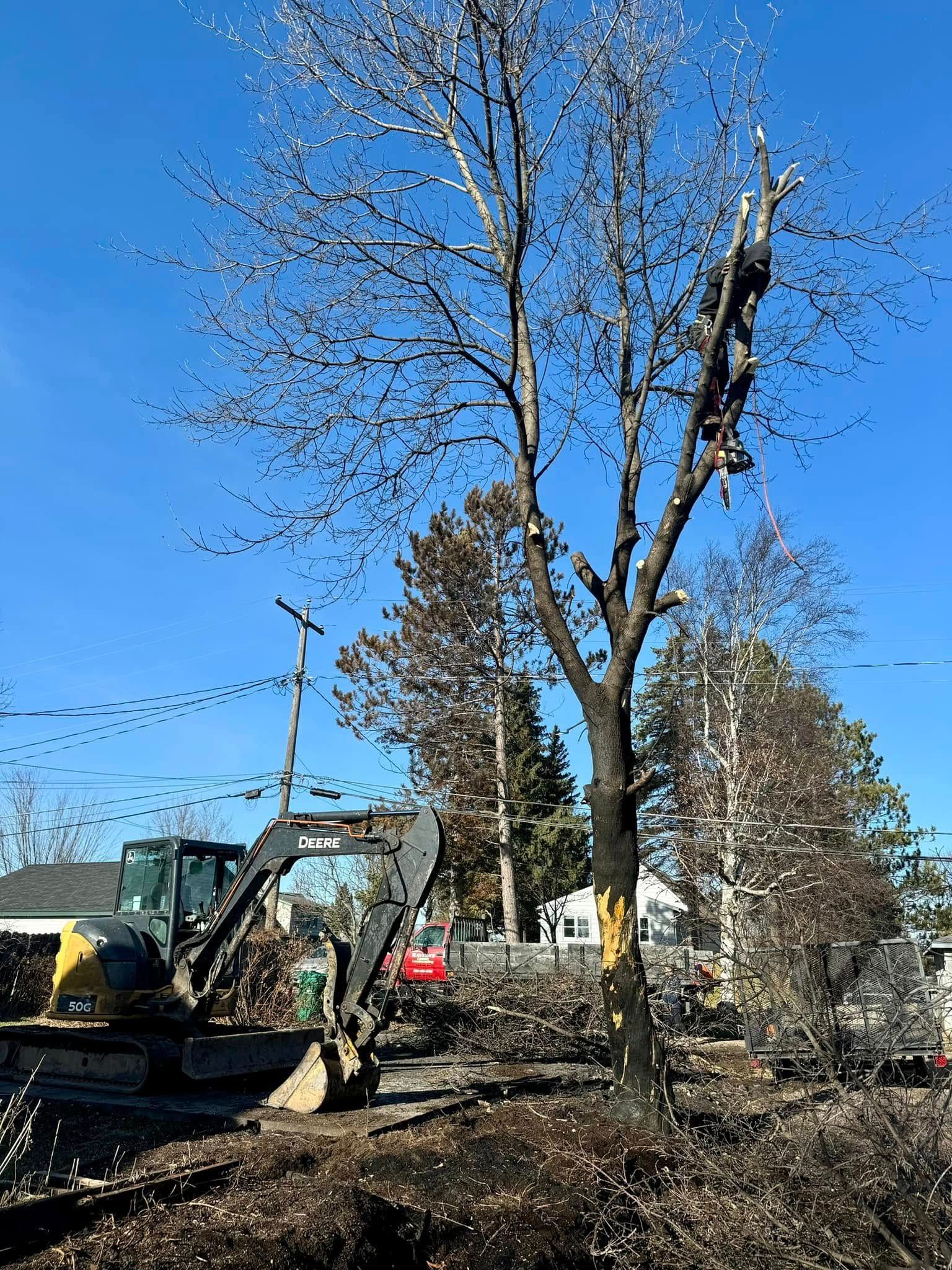 A bulldozer is cutting down a tree in a yard.