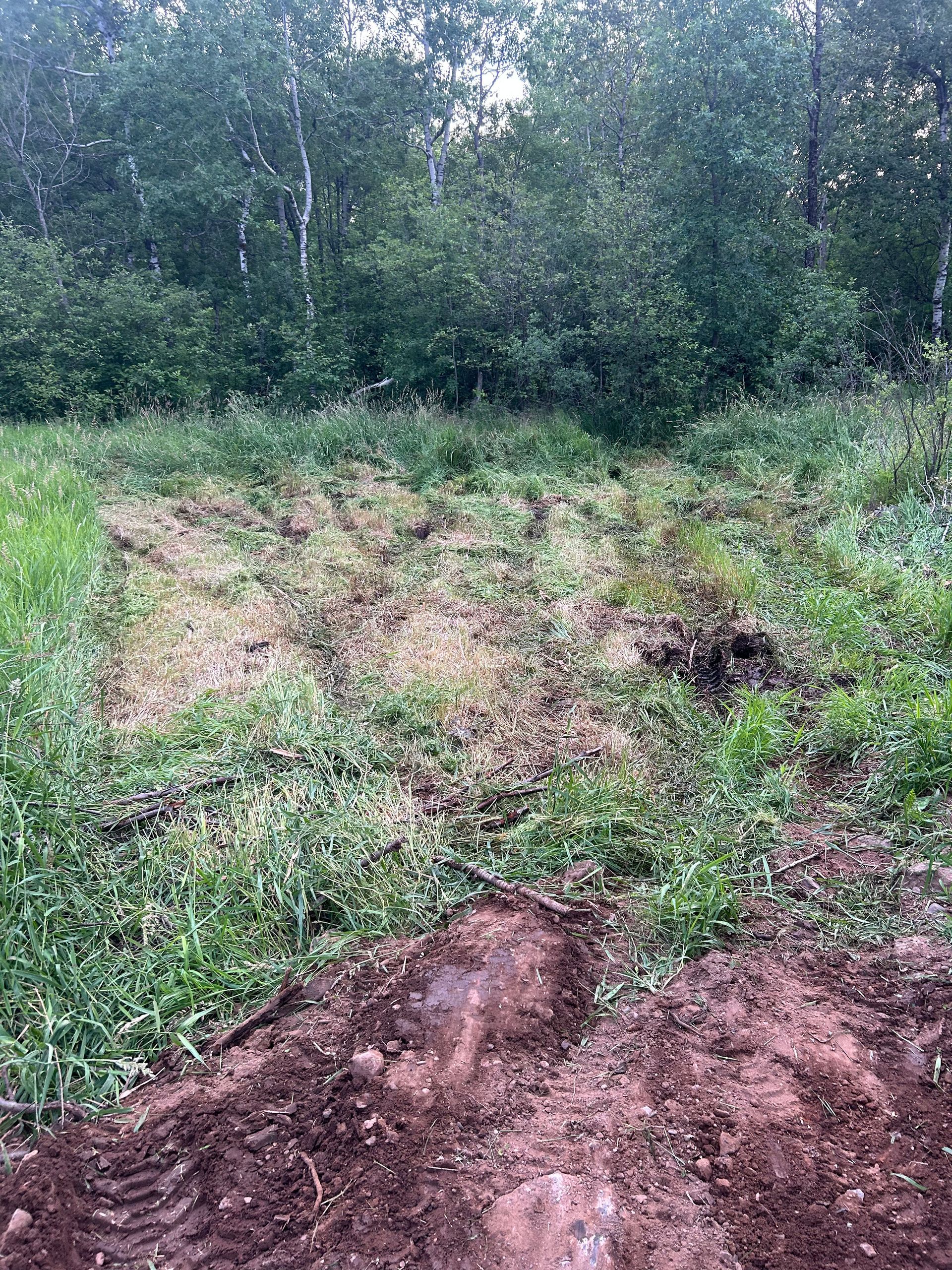 A field of grass and dirt with trees in the background.