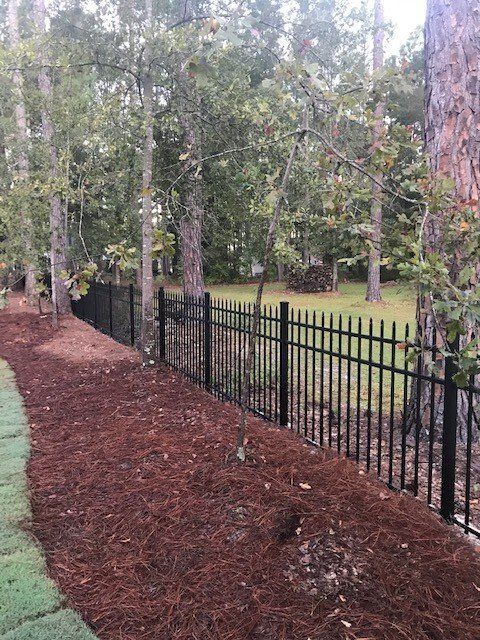 A black metal fence surrounds a yard with trees in the background.