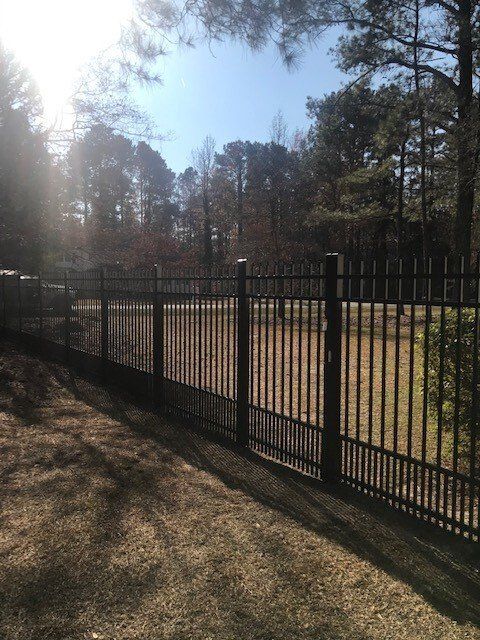 The sun is shining through the trees behind the fence