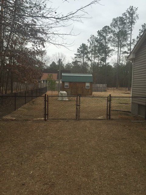 A backyard with a chain link fence and a shed in the background