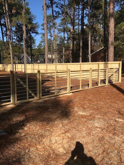A wooden fence is surrounded by pine trees in a yard.