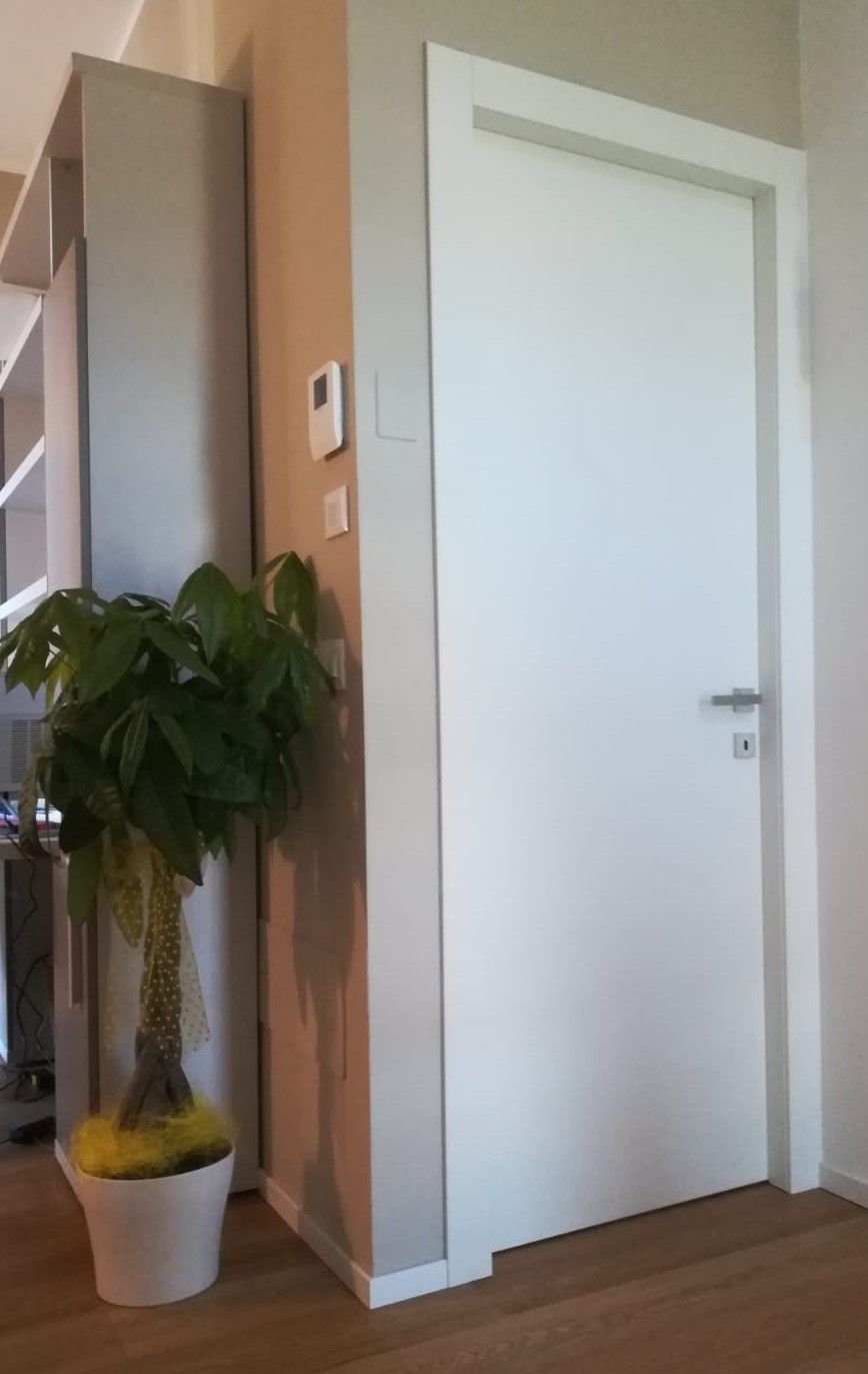 Una porta bianca accanto a una pianta di Pachira aquatica in vaso su un pavimento in legno chiaro in una stanza moderna.