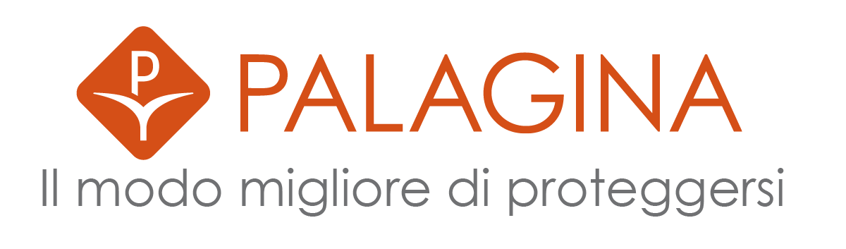 Logo di Palagina caratterizzato da un'icona arancione a forma di diamante con una