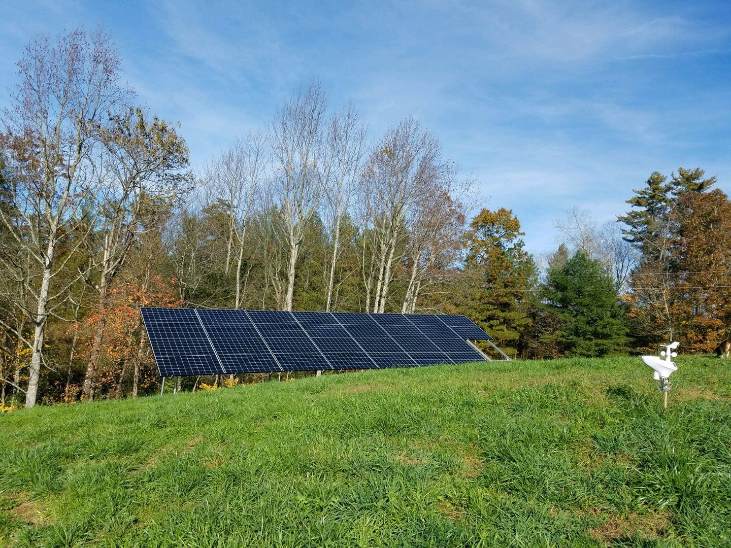 A row of solar panels are sitting on top of a lush green field.