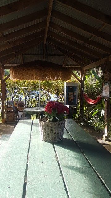 A green picnic table with a basket of flowers on it under a gazebo.