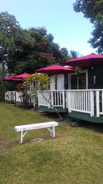 A white bench is sitting in front of a row of houses with red umbrellas.