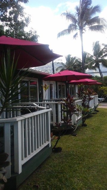 A lawn with a white railing and red umbrellas in front of a house.