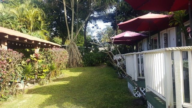 A lawn with a white railing and red umbrellas in front of a house.