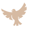 Icon: Taube als Symbol für Abschied und Erinnerung