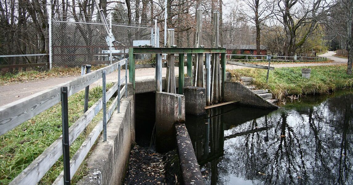 En liten betongdamm med en grön metallsluss, omgiven av träd och ett trästaket nära en lugn, reflekterande bäck.