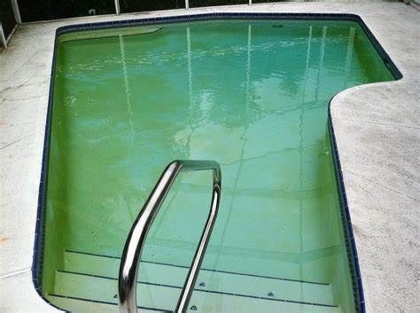 A swimming pool with green water and stairs leading to it.