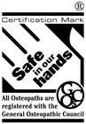 Safe in our hands logo