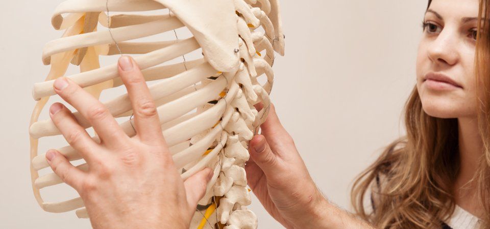 Osteopathy for as long as you need at In Touch with Health Osteopathy