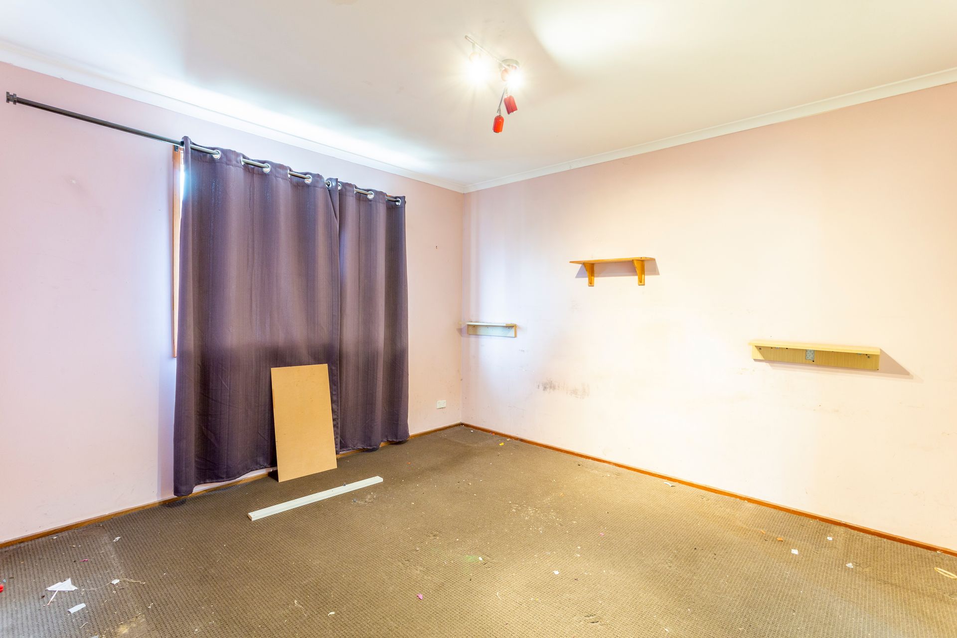 Empty interior room with light green walls, brown carpet, and three open doorways.
