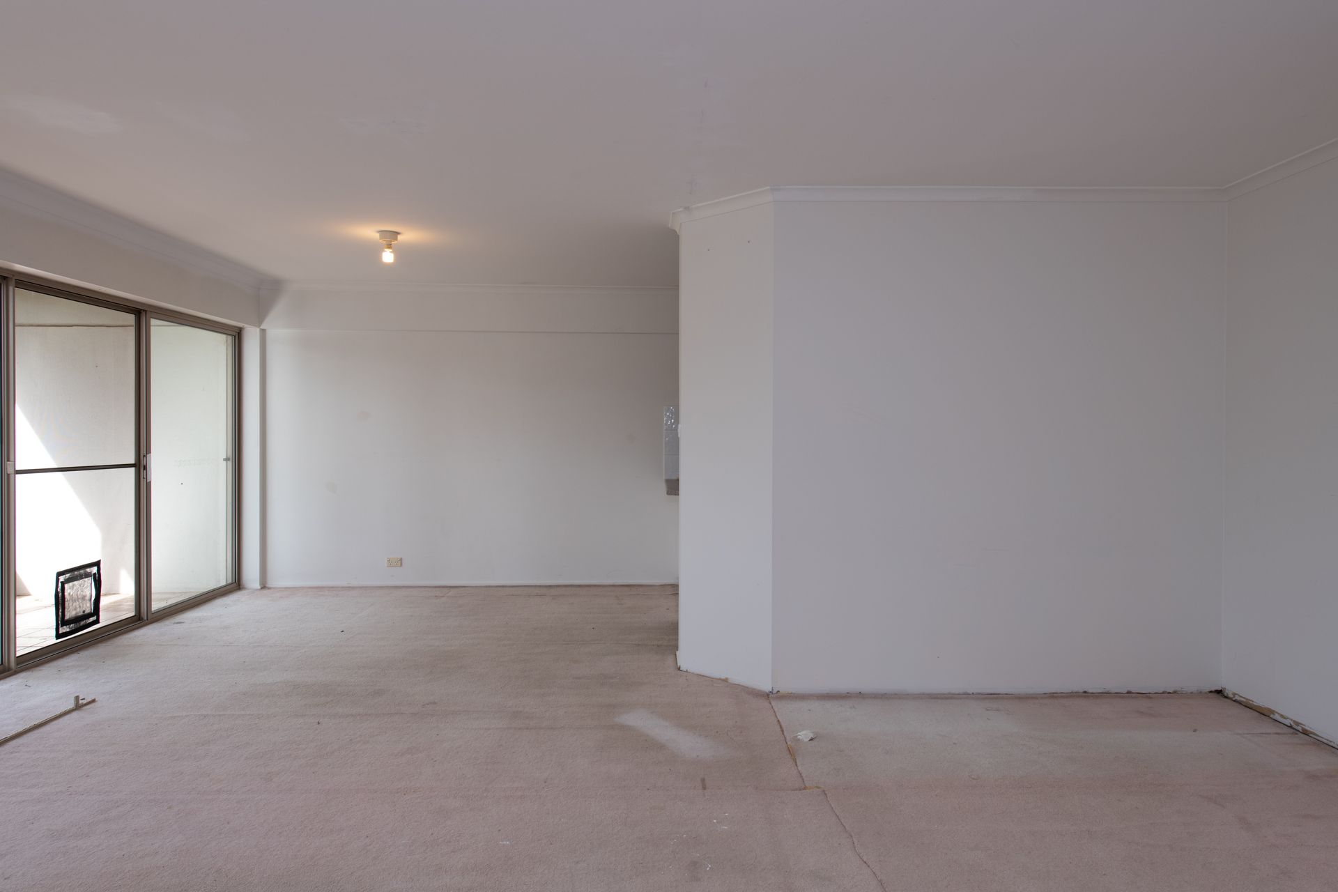 Empty interior room with large windows, light carpet, and white walls.
