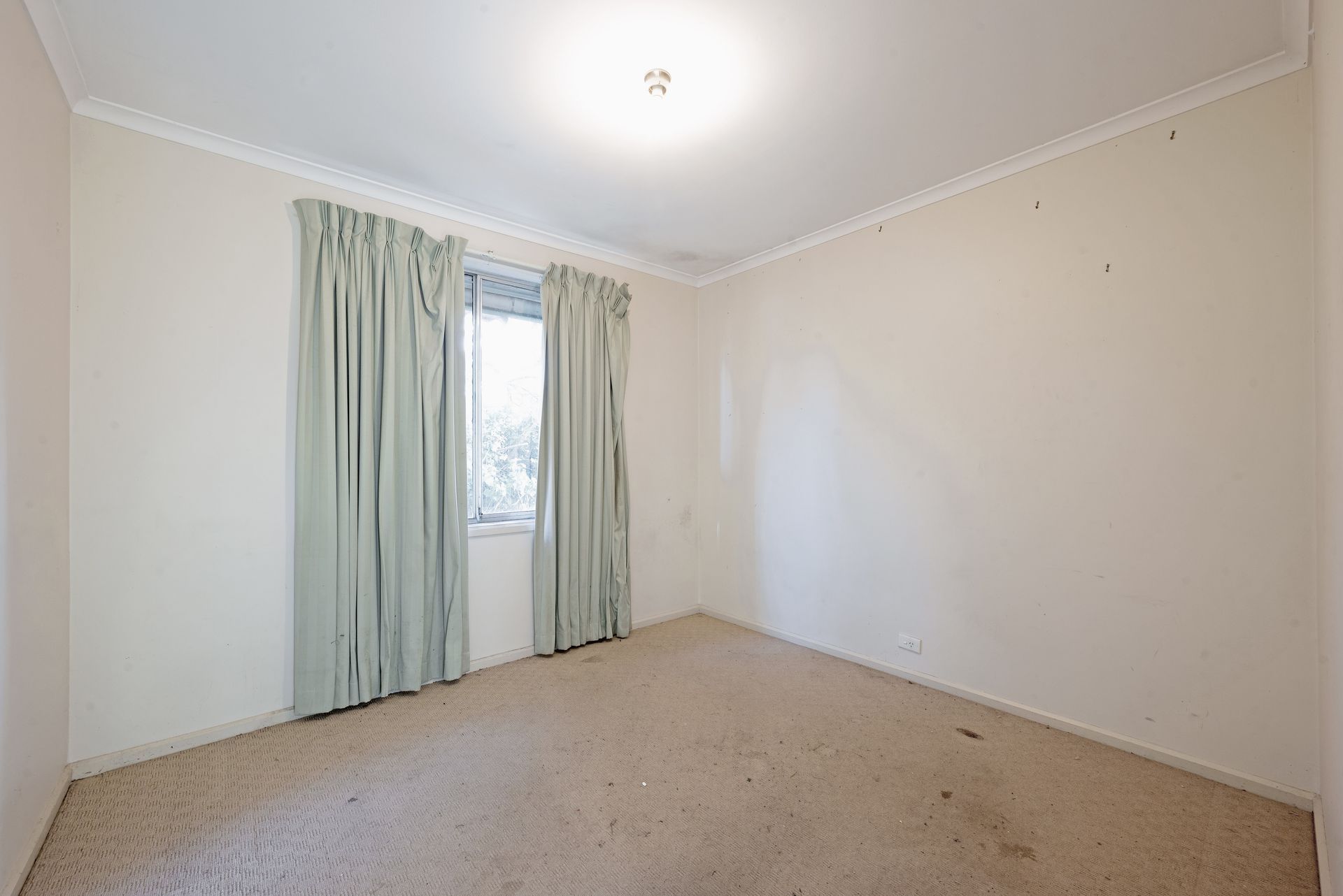 Overgrown backyard of a brick house under a blue sky, with tall grass and a green fence.